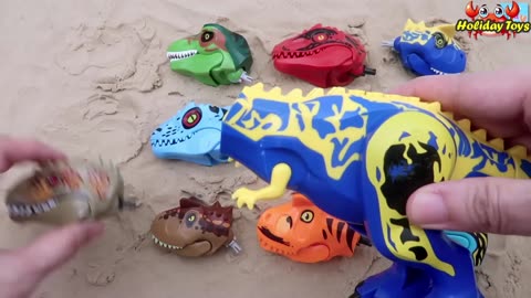 Arrange Twelve Dinosaur Heads on Neat Shelf