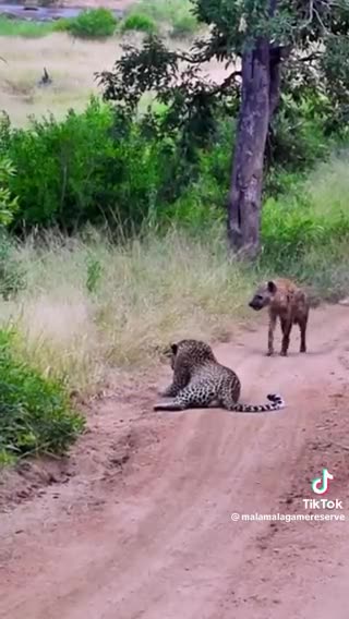 When you learn to mind your business, you will definitely get to your destination