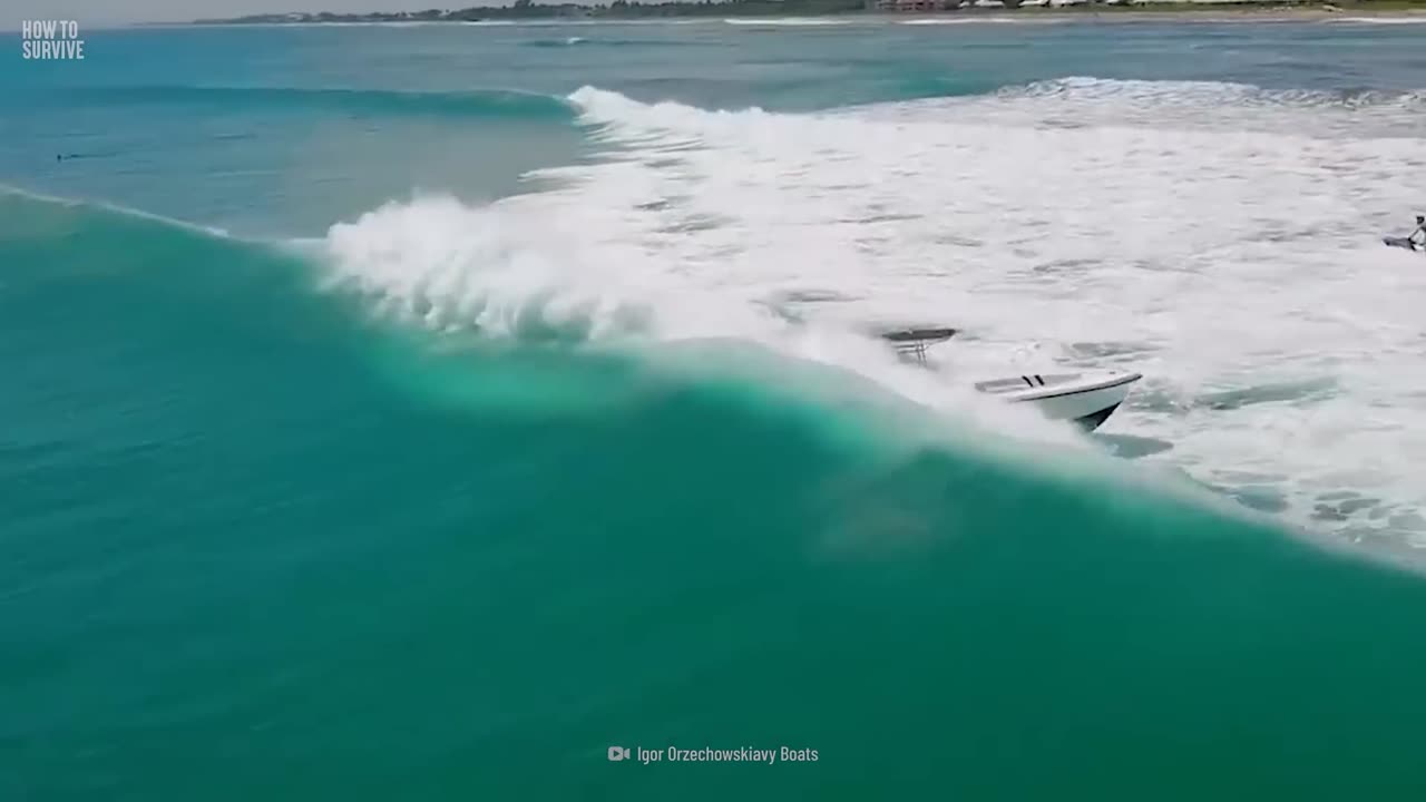 How to Survive Snake Island
