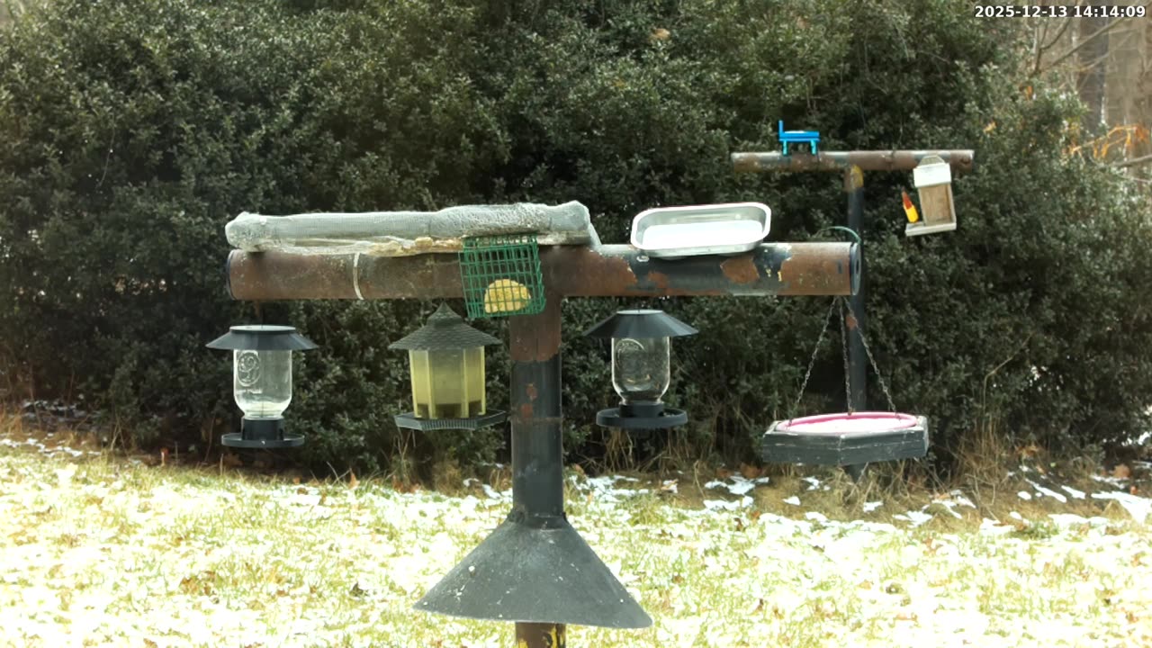 Bird Feeder in Western Maryland USA