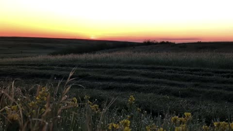 Classic Poem "Funeral Blues" by W.H. Auden, read by Stephen J.N. Bauhart #poetry #poem #funeral