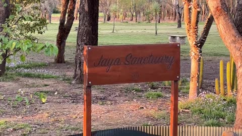 Jaya Sanctuary