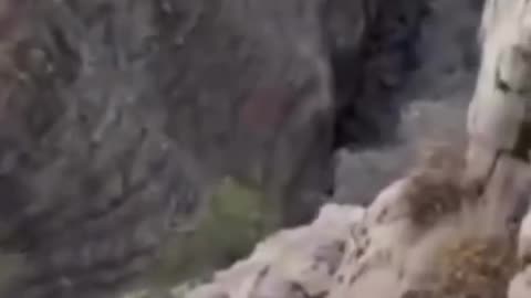 Luckiest man alive