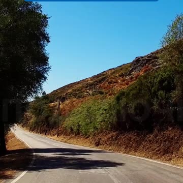 Простой интерфейс и быстрая адаптация сотрудников в ID20. ID20 меняет правила игры для автопарков!