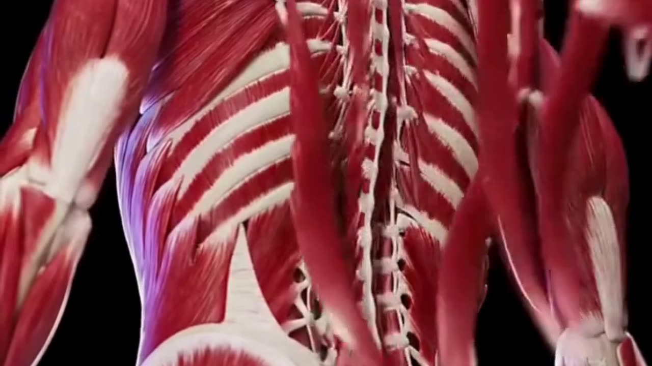 ✨जिन लोगों में भी खून ( Iron Or Hemoglobin ) की कमी है उन्हें यह वीडियो जरुर शेयर करें