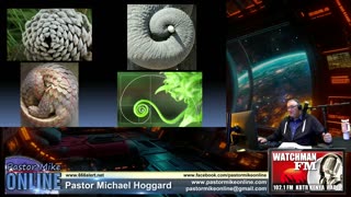 The Fibonacci Ratio: God's Infallible Proof of Creation