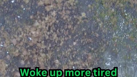 Insomnia Facts#InsomniaHelp 💤 #SleepDeep 😴 #PeacefulNights 🌜 #NoMoreTossing 🛏️ #RestEasy 🌠