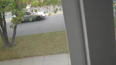 checking in on passadena_ THESHEASHOW.COM