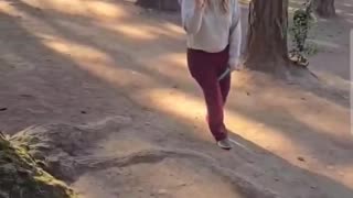 Liberal racist woman harassing man for breeding his dogs instead of adopting