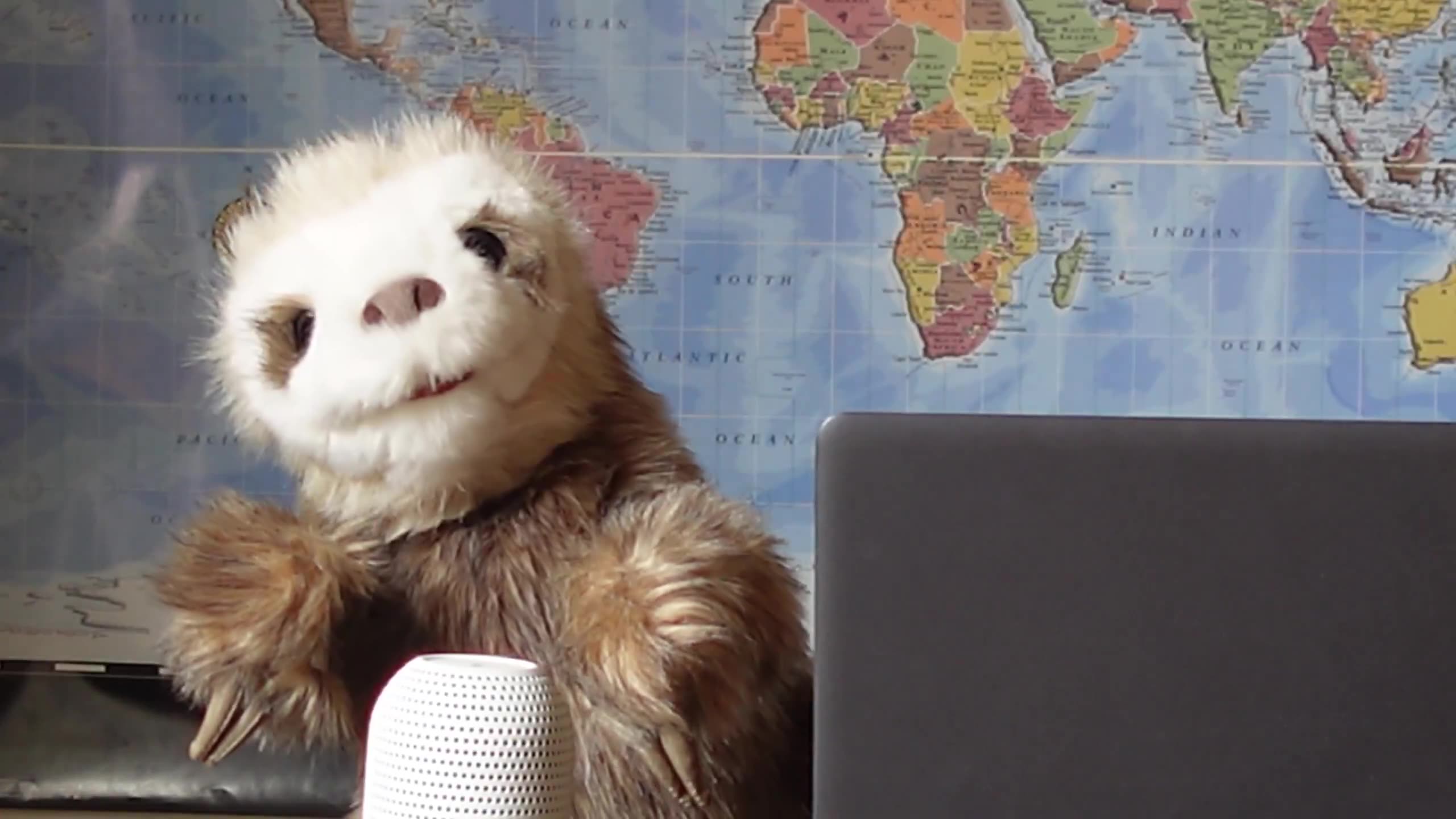 Zelenskyy and Coalition of the Willing beg President Trump to support war in Ukraine..