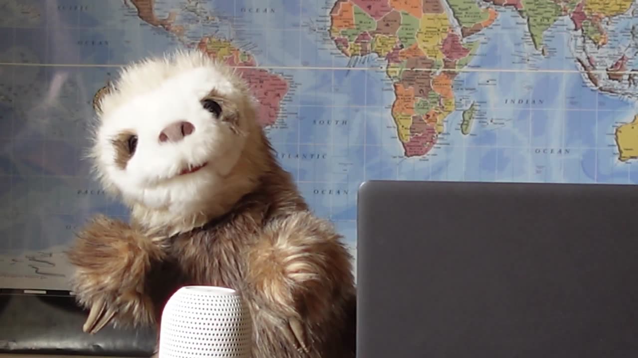 Zelenskyy and Coalition of the Willing beg President Trump to support war in Ukraine..