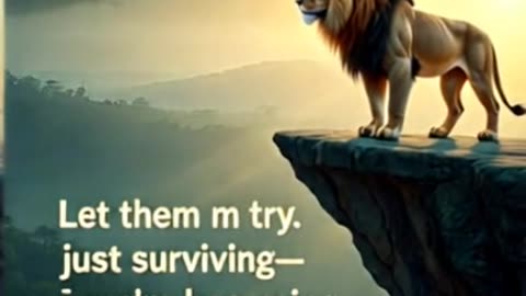 How to succes your ife shortest quote