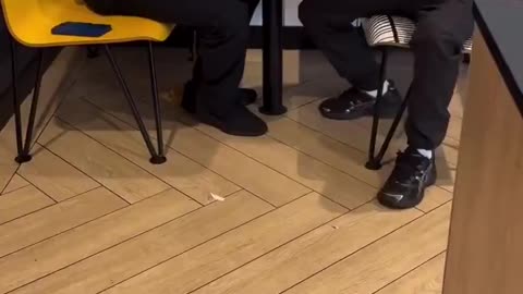 We Be Rollin' Up In BluntDonald's!