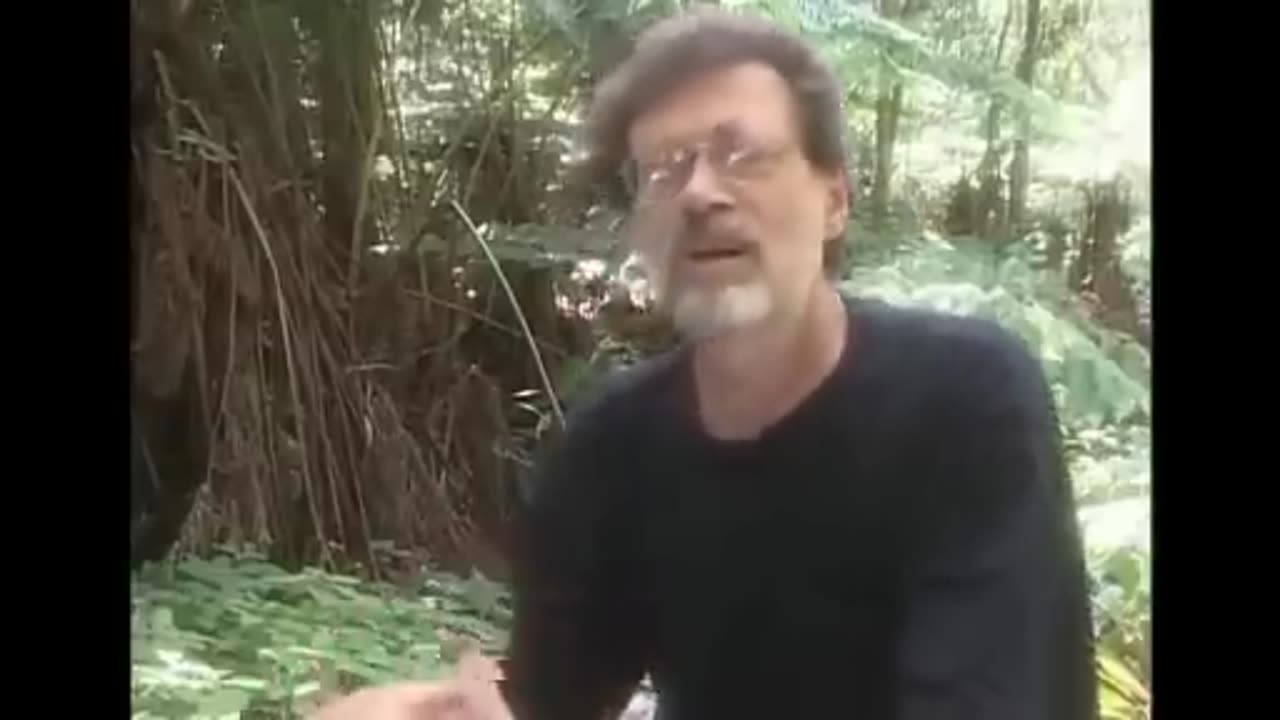 Terence McKenna 's Final Interview