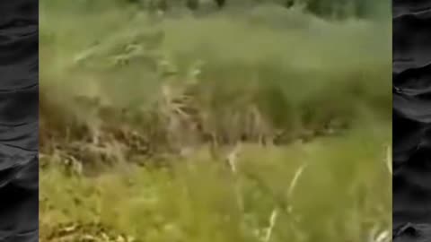 👻😱 Terrifying Paranormal Footage You Can't Miss! | TheHauntingHour