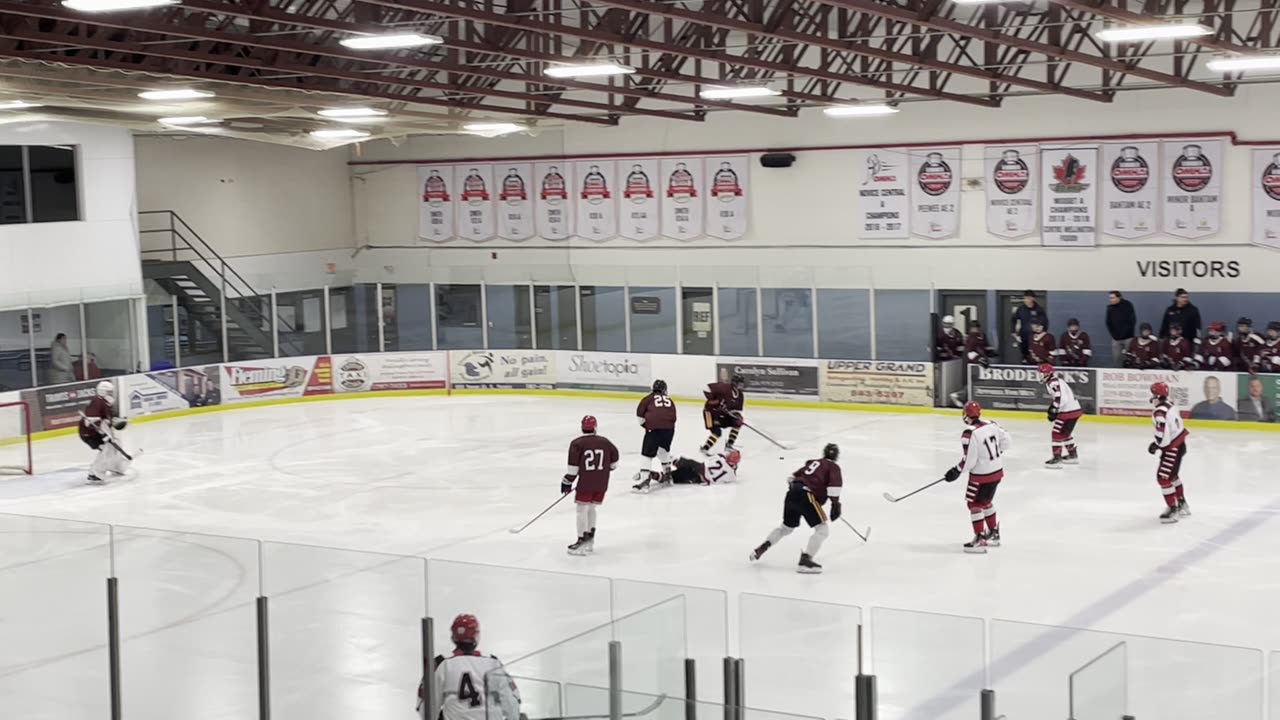 Lions v Falcons Nov 12