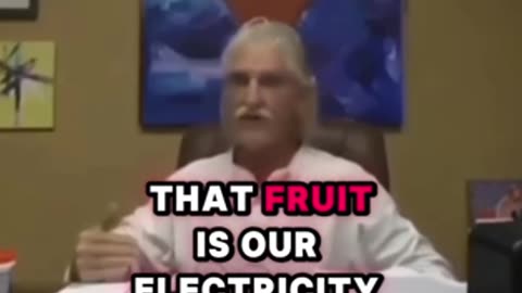 FOODS MUST BE ELECTRICAL - Your Diet Is Absolutely Everything Health