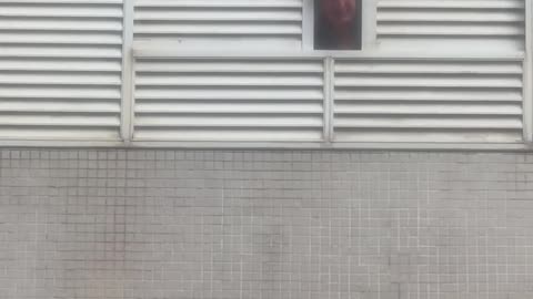 Beach Hero Fights Storm to Save Umbrella