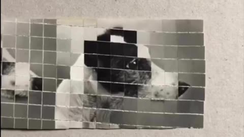 🧠✨ Shredding an Image Into Pieces Shows How Downsampling Works! | FeedMyCuriosity