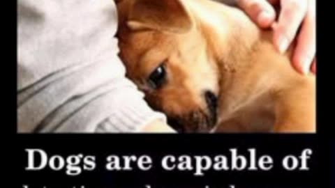 🔺Is this not precious?!! 🐾