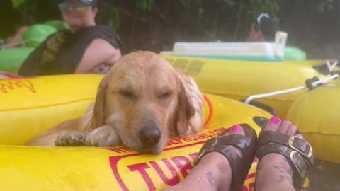 Downpour Ruins Golden's Tubing Trip