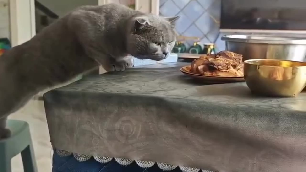 So close 🤣