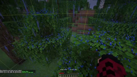 Minecraft, But Every Chunk Has RANDOM Tick Speed!