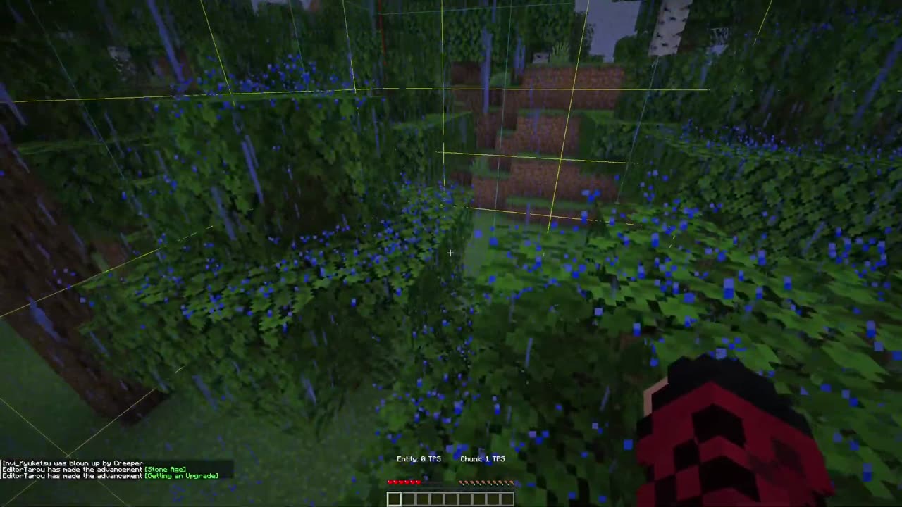 Minecraft, But Every Chunk Has RANDOM Tick Speed!