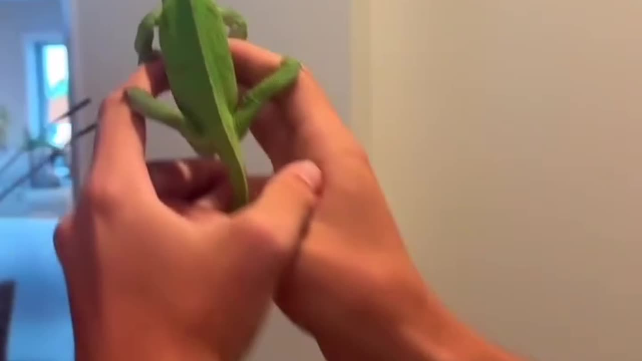 Insect control specialist