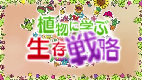 植物に学ぶ生存戦略 話す人・山田孝之 （13）