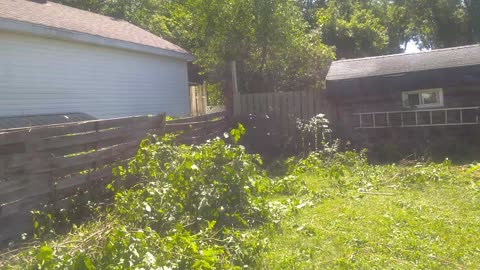 Gotta love yard work