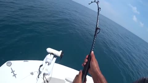 pesca a pesci grossi o big fish, parte 2, hammer shark o grande squalo martello_part11
