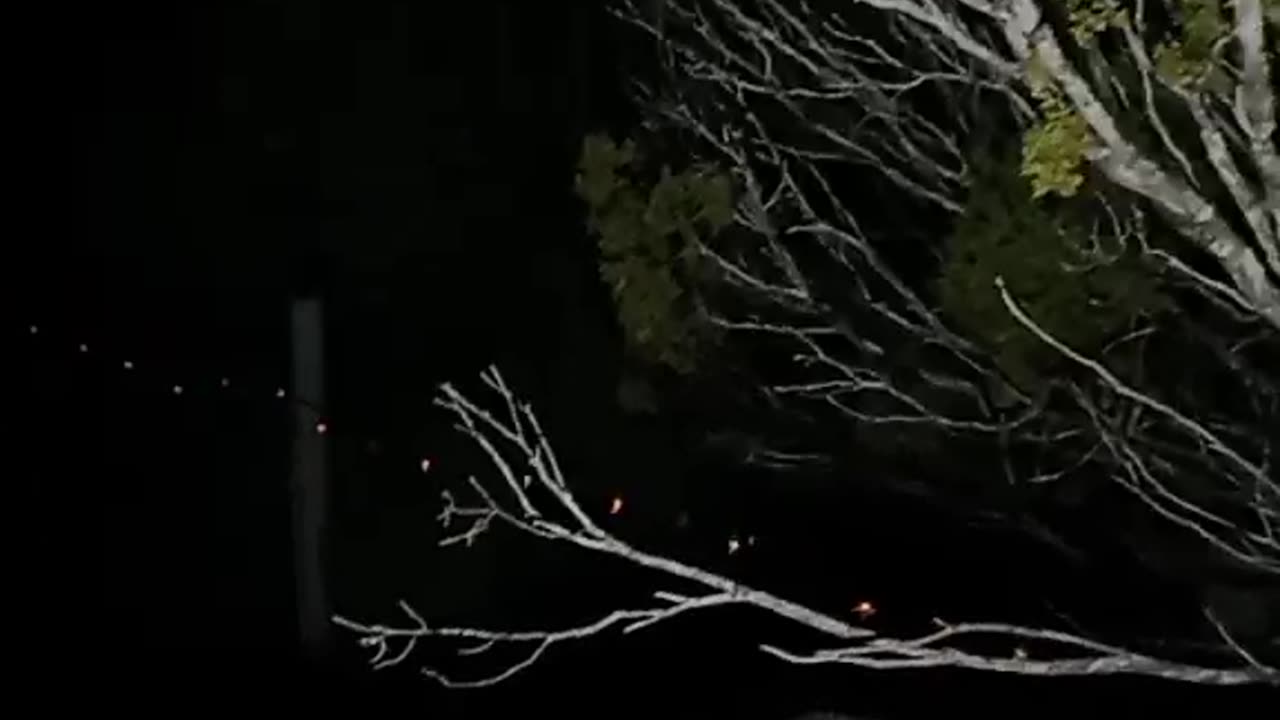 Piggy Son's Terrible Nightmare: Seeing the Front of the Fort for the 1st Time in a Nightmare