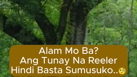 Hindi Basta Sumusuko