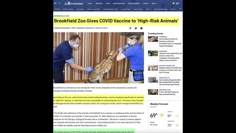 Zoo Animals Die Suddenly post Covid-19 Injection. SADS?