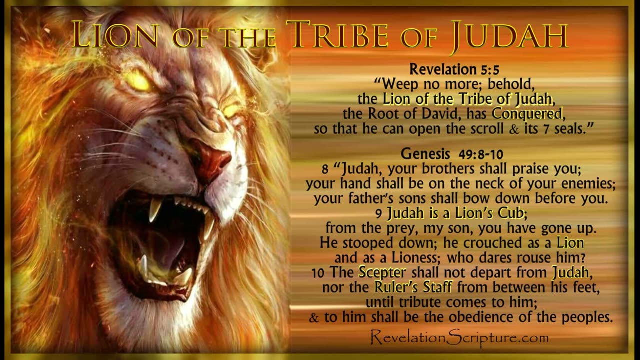 Revelation 2:9 and 3:9 those who say they are Jews and are not