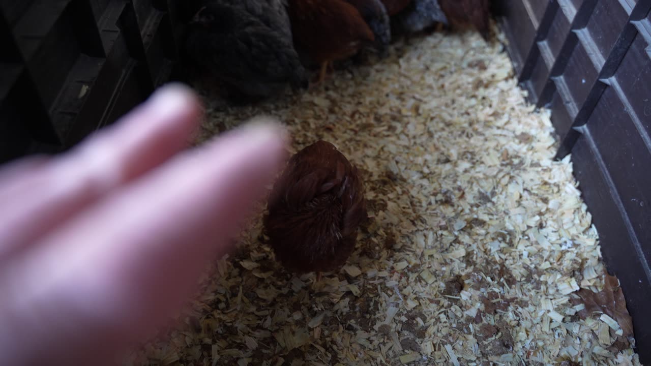 Mean old man wakes up a sleeping baby.