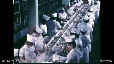 Janet and the Genie, USDA, MP348