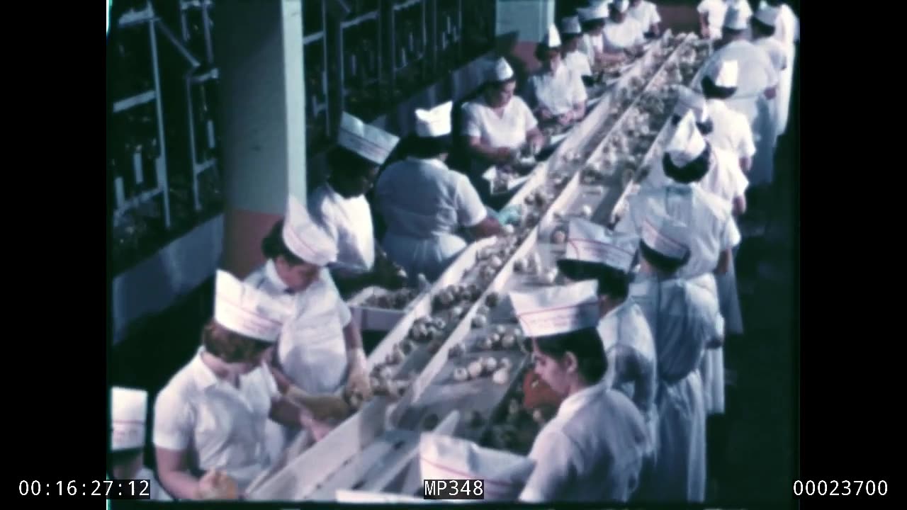 Janet and the Genie, USDA, MP348