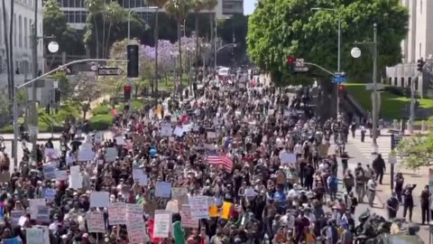 LAPD just issued a citywide tactical alert