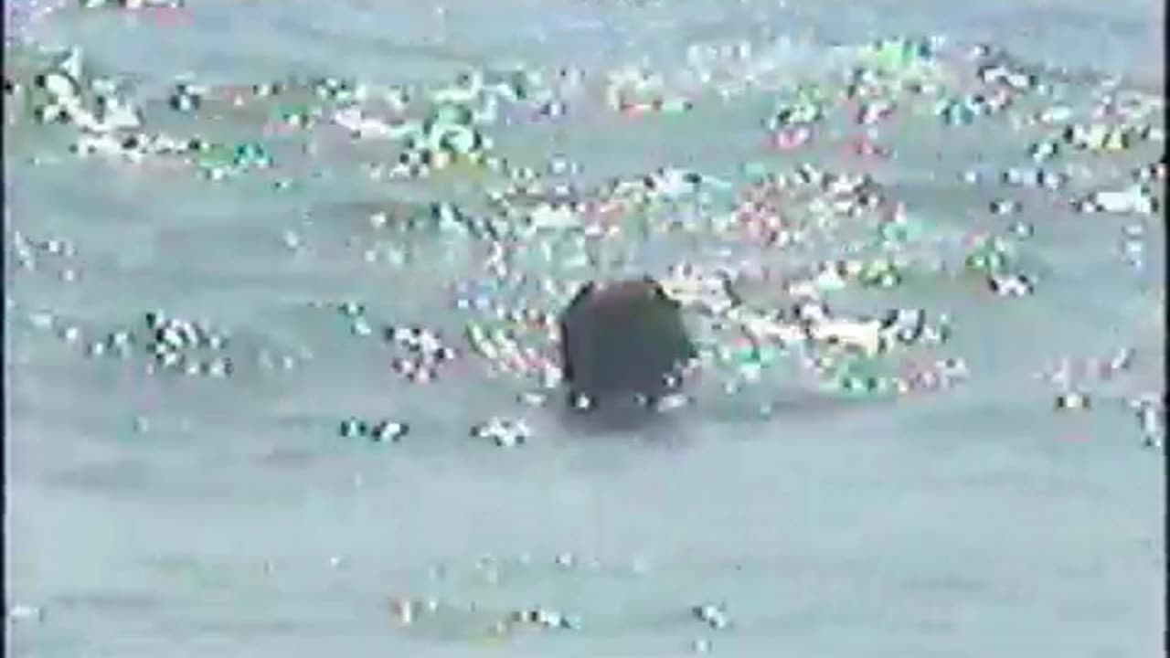 Tibiafinger Floating in The Ocean