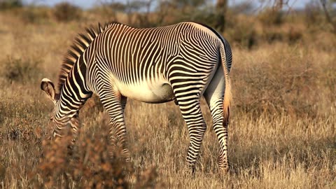 "Kill them with success and bury them with a smile.