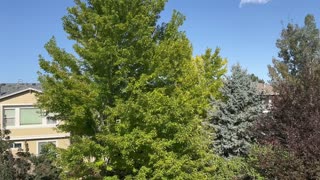 What a nice day outside