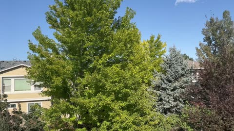 What a nice day outside