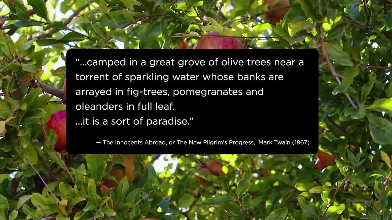 Mark Twain in Palestine - How Satire Was Twisted into Zionist Propaganda