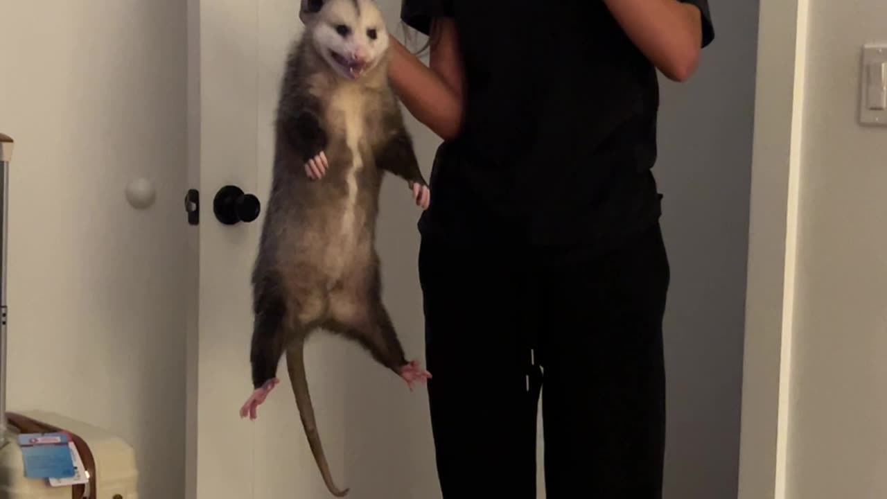 Girl Catches an Opossum in the Garage