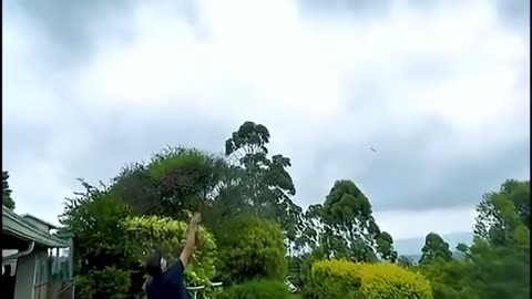 😂⏳ Opportunity and Precision: A Perfect Catch! | FunFM