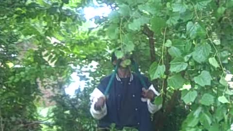 cleaning up sturtivant ST. THE SHEA SHOW