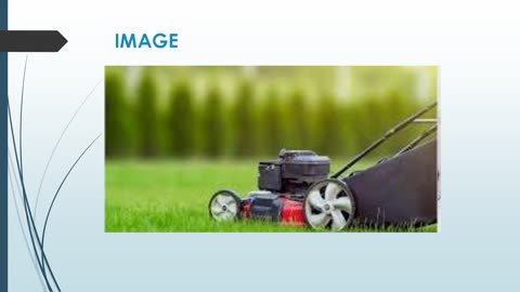 Best Hedge Trimming in Hayters Hill