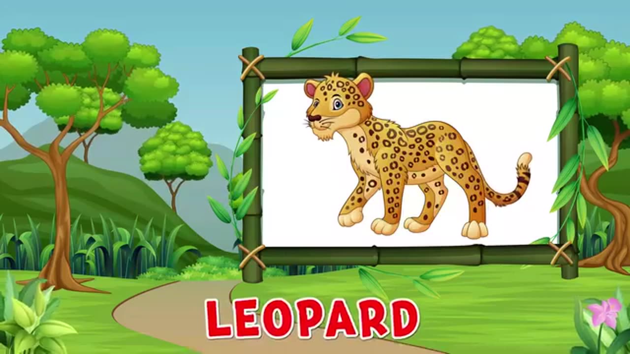 Animals videos